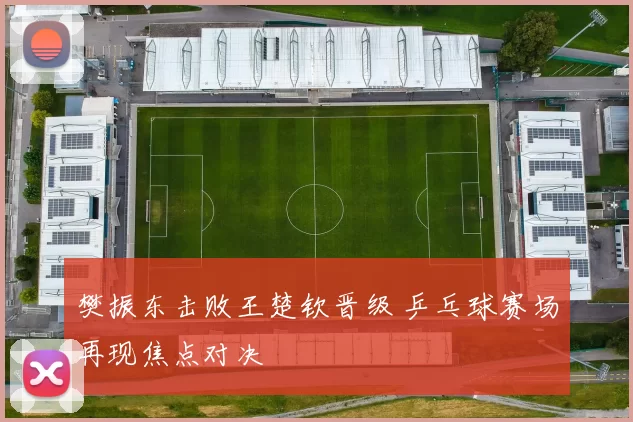 樊振东击败王楚钦晋级 乒乓球赛场再现焦点对决