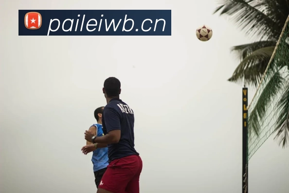 Bsports - B(中国)一站式服务官网APP 封面图